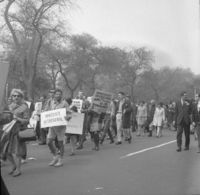 March against Vietnam War: Workers Party, Shoot ID: 408, Negative: 5. Image of a black and white photograph. In the photograph, a large crowd of people walk down a street lined with trees. Several people in the crowd carry posters. The photograph includes a poster that says "Immediate Withdrawal". The photograph includes another poster that says "Immediate Unconditional Halt to All U.S. Bombing" (part of the poster text is unclear). Full text includes "Immediate Withdrawal Immediate Unconditional Halt to All U.S. Bombing".